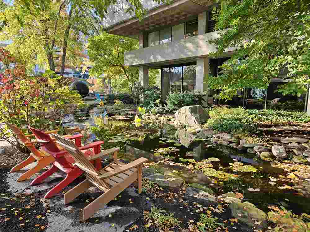 Photo of 4 Adirondack chairs facing a small pond and a building